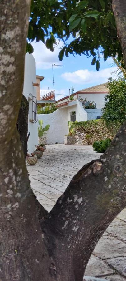 Voscenza Benerica Villa Vittoria Bagian luar foto