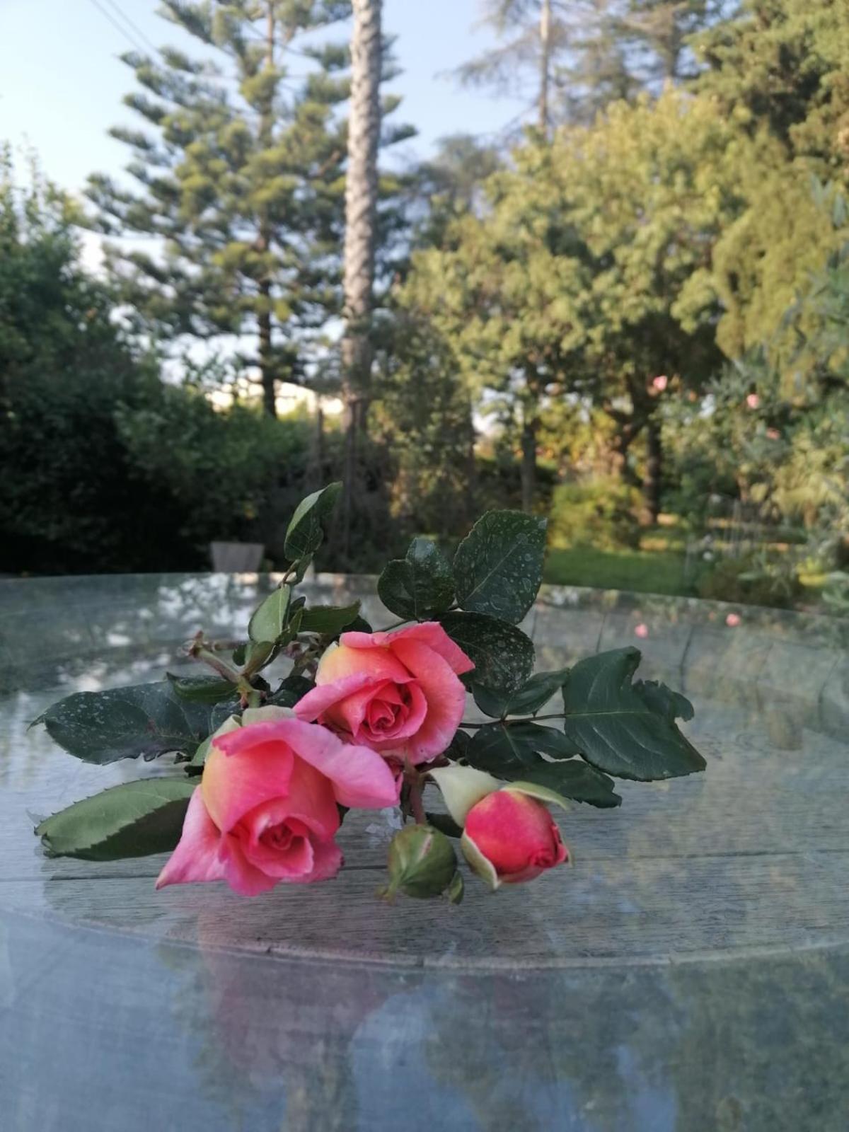 Voscenza Benerica Villa Vittoria Bagian luar foto